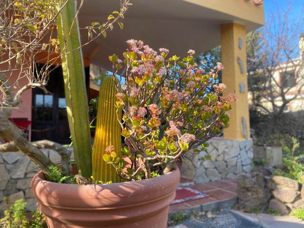 Lovely Home 5 Min Walk To The Beach, 3 Bedrooms Ample Outdoor Relax And Wifi 卡丕塔纳 外观 照片